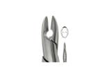 Thumb forcep 4801