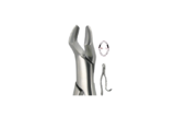 Thumb forcep 4804