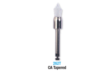 Large prophy brushes 2 ca tapered