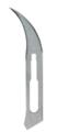 Thumb 18431