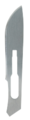 Thumb 18436
